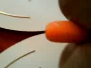 Morrita juguetona se masturba con una zanahoria