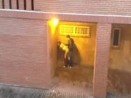 Los pillan cogiendo en la calle, graban de lejos